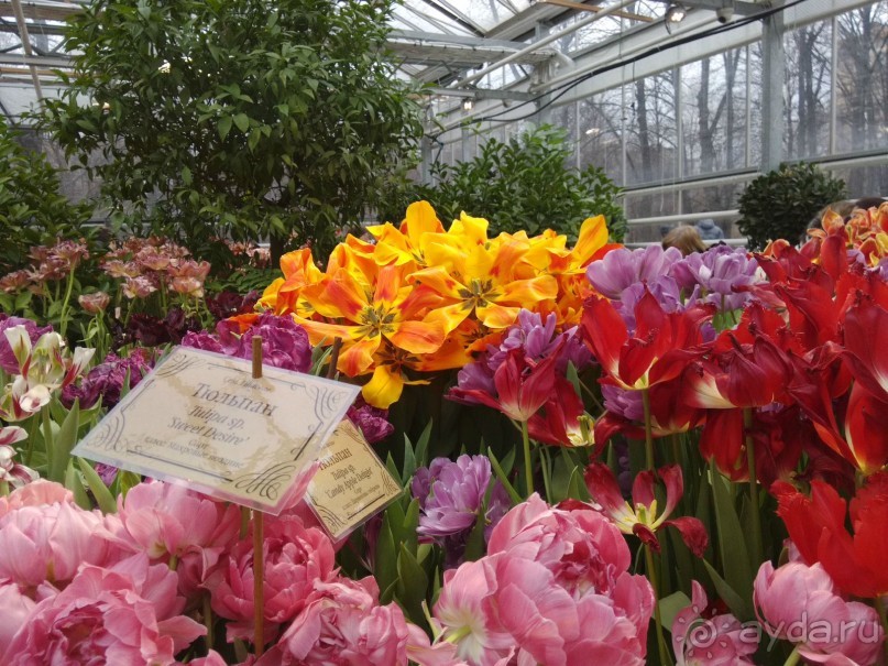 Весна идет - весне дорогу!!!  (Отзыв для милых дам).