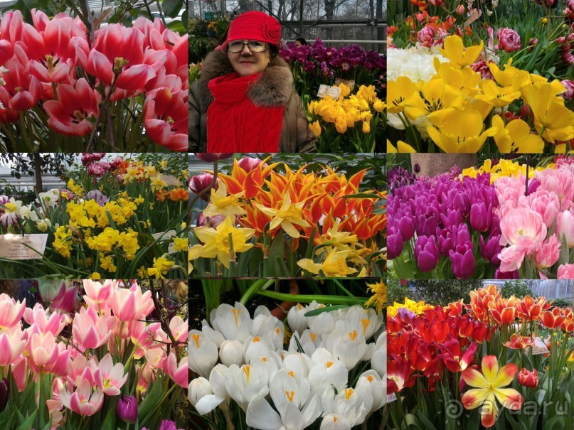 Весна идет - весне дорогу!!!  (Отзыв для милых дам).