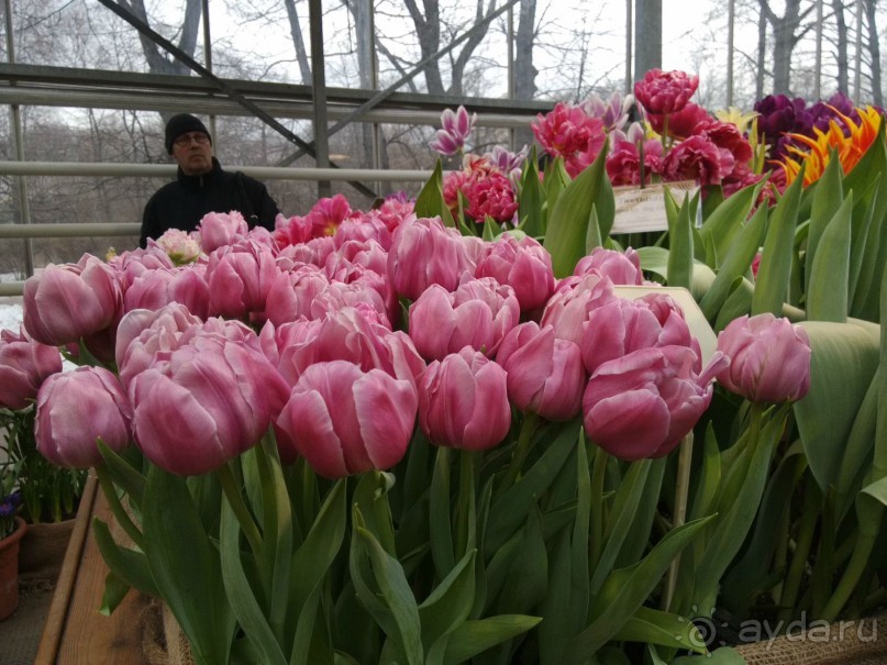 Весна идет - весне дорогу!!!  (Отзыв для милых дам).