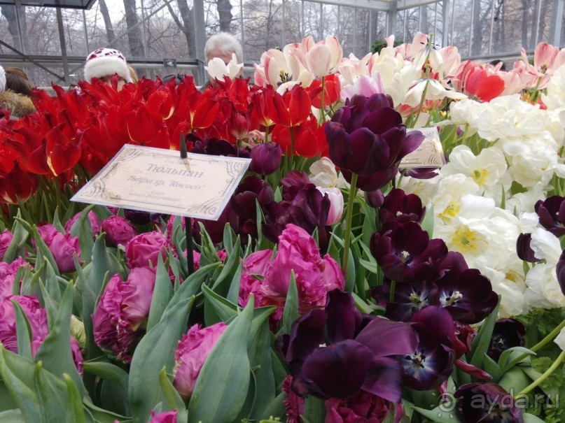 Весна идет - весне дорогу!!!  (Отзыв для милых дам).