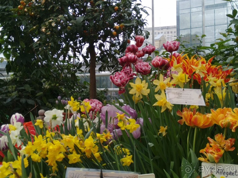 Весна идет - весне дорогу!!!  (Отзыв для милых дам).