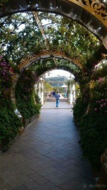 Фестиваль "Московское варенье" 2015 и 2016.