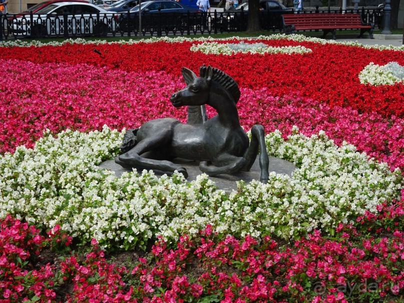 Фестиваль "Московское варенье" 2015 и 2016.