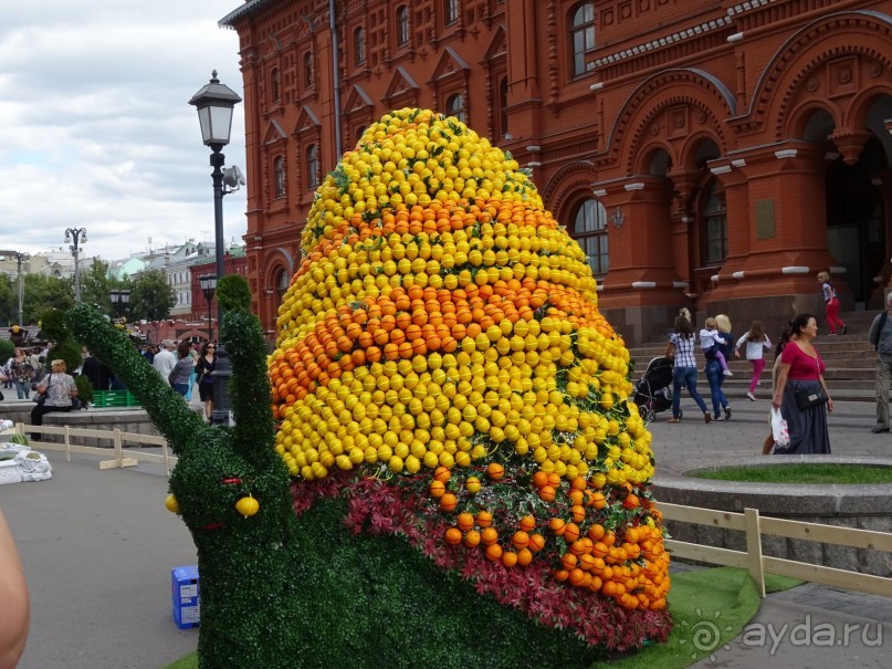 Фестиваль "Московское варенье" 2015 и 2016.