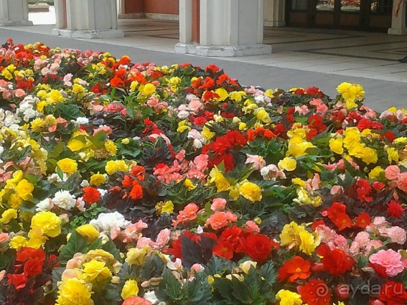 Фестиваль "Московское варенье" 2015 и 2016.