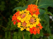 Путешествие по Криту. Греция.