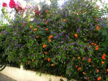 Путешествие по Криту. Греция.