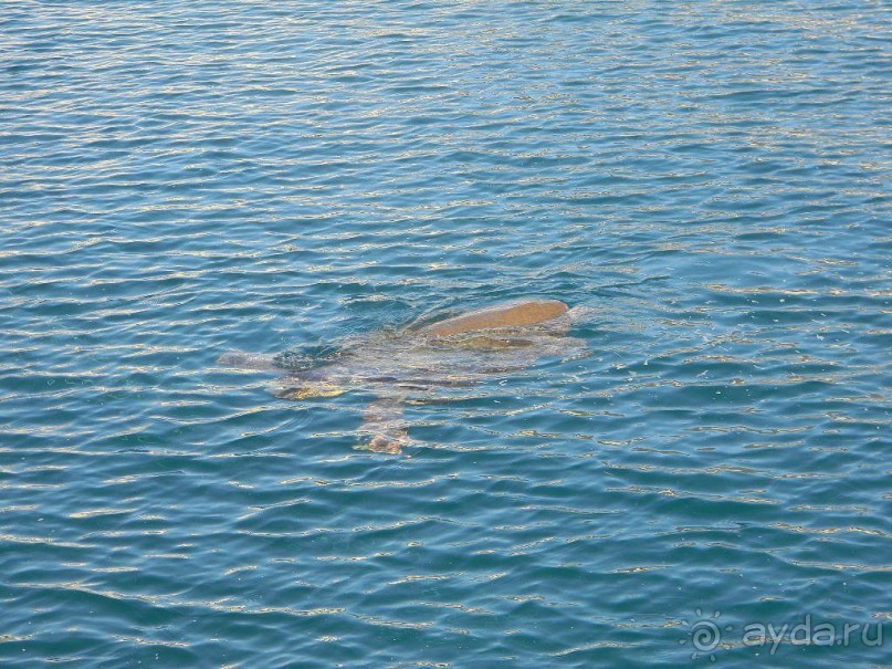 Путешествие по Криту. Греция.