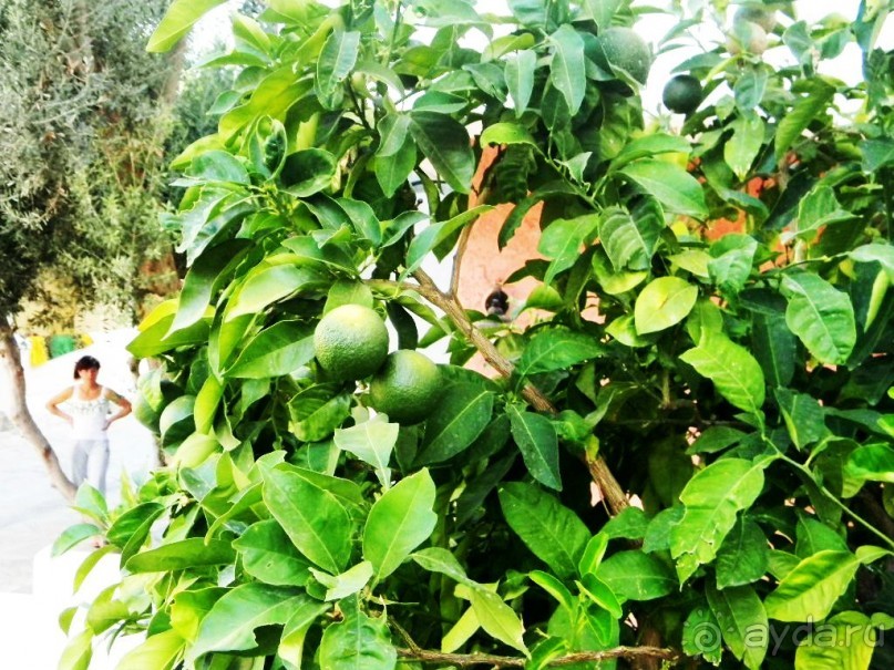 Путешествие по Криту. Греция.