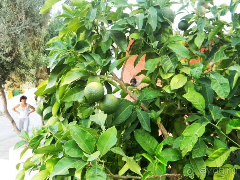 Путешествие по Криту. Греция.