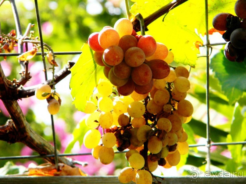 Путешествие по Криту. Греция.