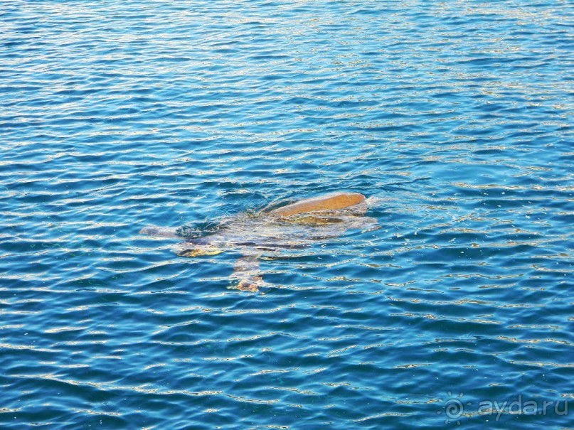 Путешествие по Криту. Греция.