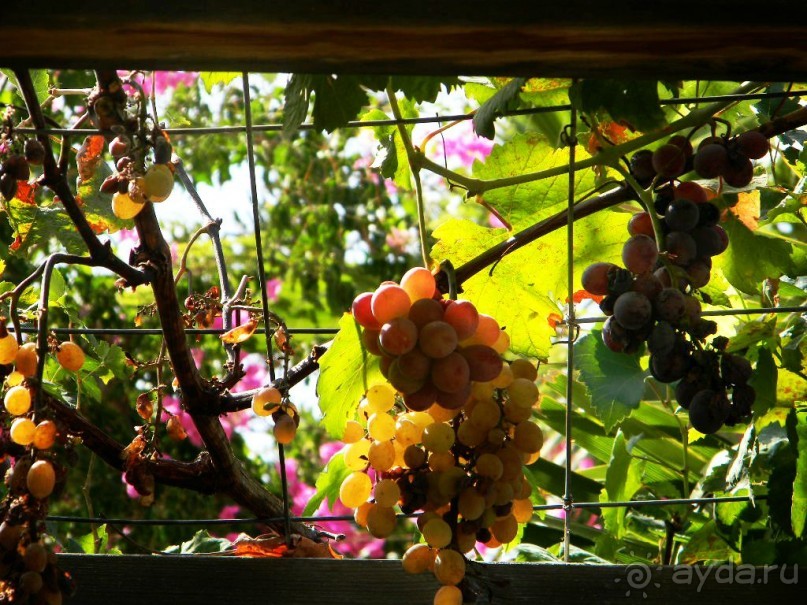 Путешествие по Криту. Греция.