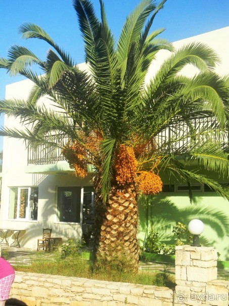 Путешествие по Криту. Греция.