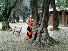 Сад де Коломбьер: в этом саду, включенном в перечень исторических памятников, расположено множество  олив и кипарисов.