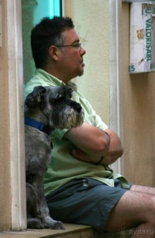 Видимо, по причине большой любви к собакам,  хозяева и их подопечные бывают весьма похожи.