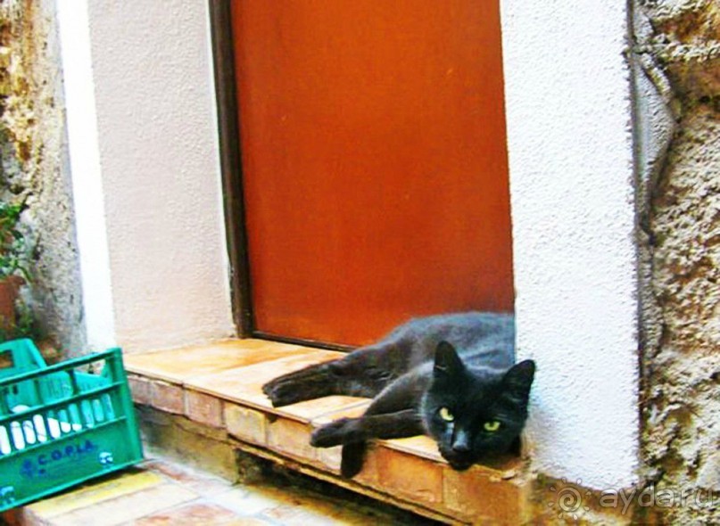 В конце XIX века, вместе с восходом звезды Лазурного берега в качестве курорта для аристократии, Ментон также стал набирать популярность. Здесь несколько раз отдыхала британская королева Виктория, сюда потянулась и русская знать