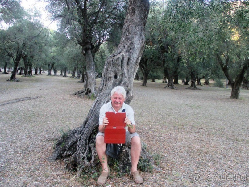 Самые удачные и яркие фотографии получились на планшетке Самсунг.