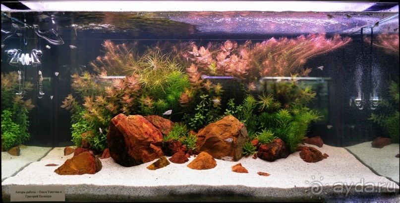 Друзья! Добро пожаловать в «Аптекарский огород»!