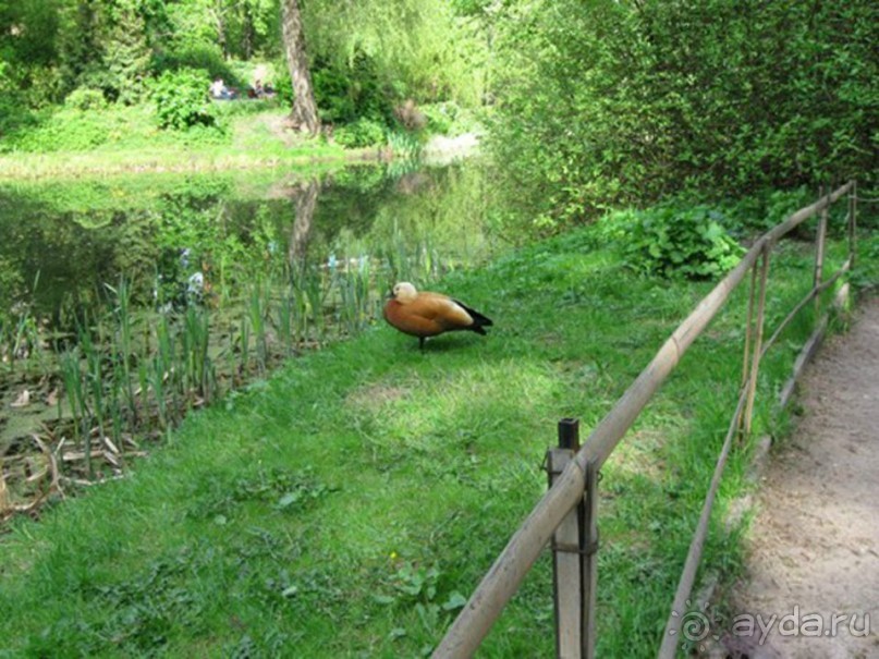 Друзья! Добро пожаловать в «Аптекарский огород»!