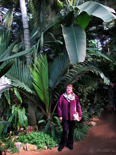 Друзья! Добро пожаловать в «Аптекарский огород»!