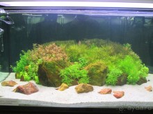 Друзья! Добро пожаловать в «Аптекарский огород»!