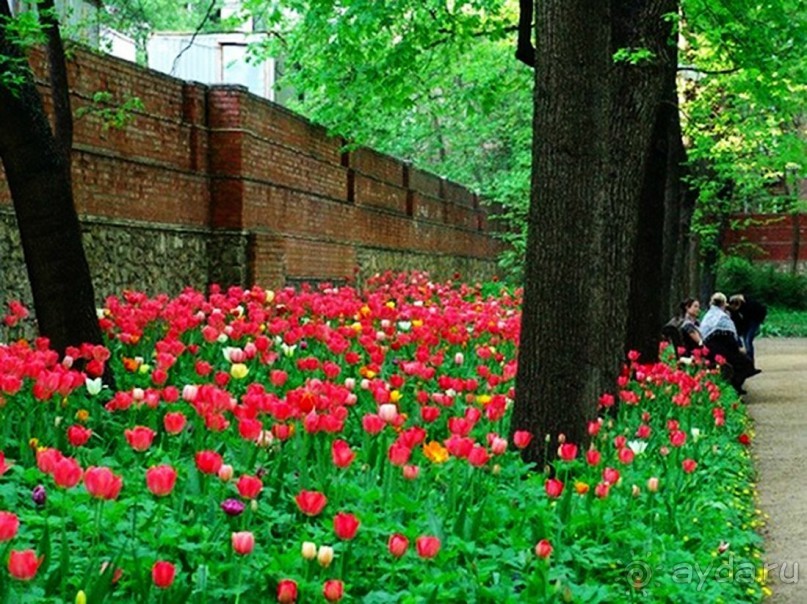 Друзья! Добро пожаловать в «Аптекарский огород»!