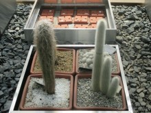 Друзья! Добро пожаловать в «Аптекарский огород»!