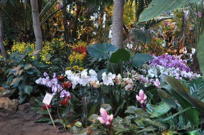 Друзья! Добро пожаловать в «Аптекарский огород»!