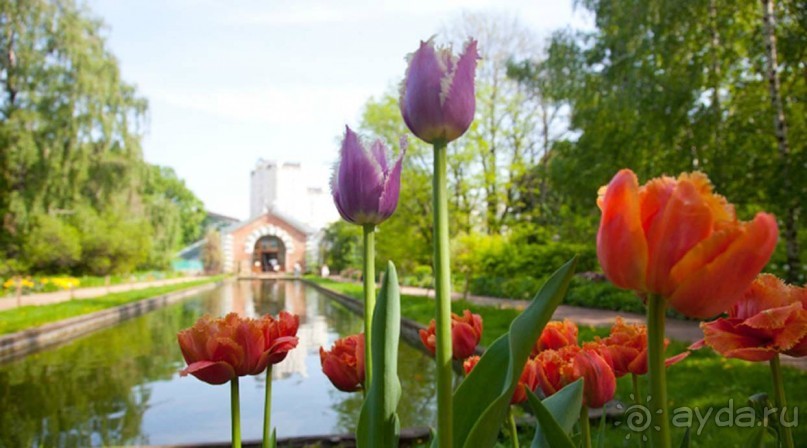 Друзья! Добро пожаловать в «Аптекарский огород»!