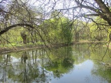 Друзья! Добро пожаловать в «Аптекарский огород»!