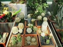 Друзья! Добро пожаловать в «Аптекарский огород»!