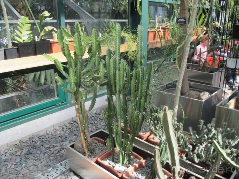 Друзья! Добро пожаловать в «Аптекарский огород»!