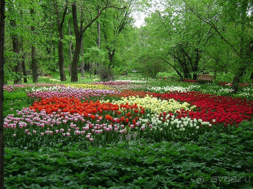 Друзья! Добро пожаловать в «Аптекарский огород»!