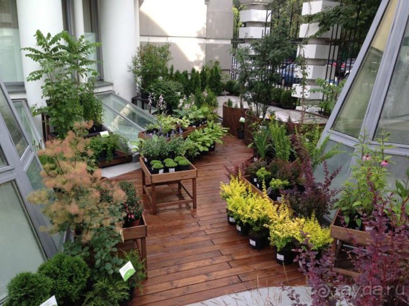 Друзья! Добро пожаловать в «Аптекарский огород»!