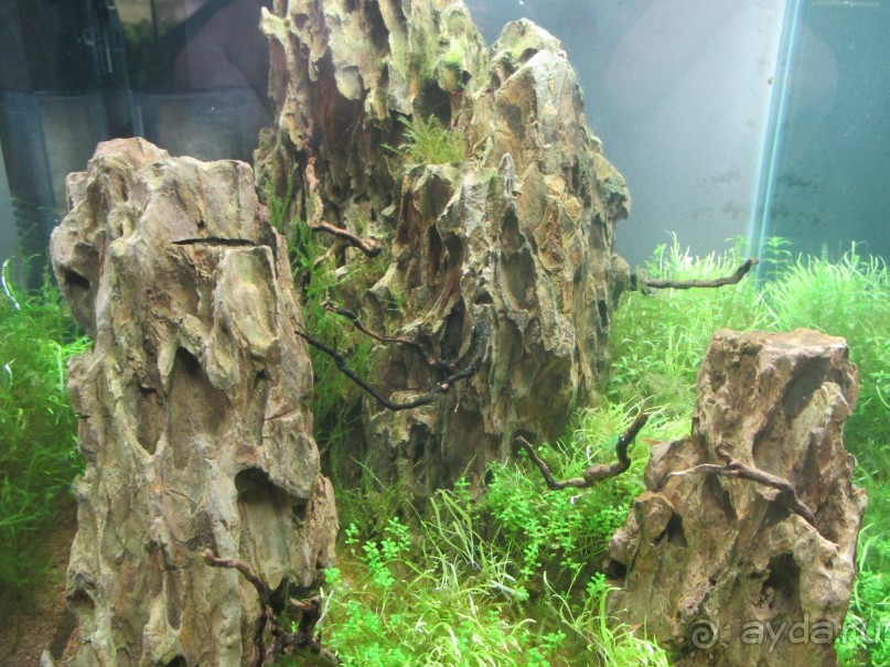 Друзья! Добро пожаловать в «Аптекарский огород»!