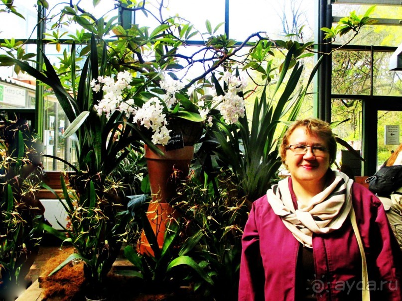 Друзья! Добро пожаловать в «Аптекарский огород»!