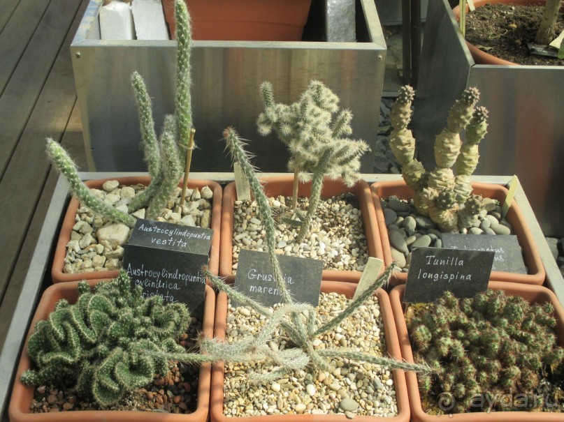 Друзья! Добро пожаловать в «Аптекарский огород»!