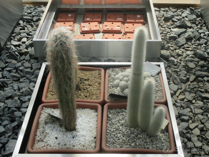 Друзья! Добро пожаловать в «Аптекарский огород»!