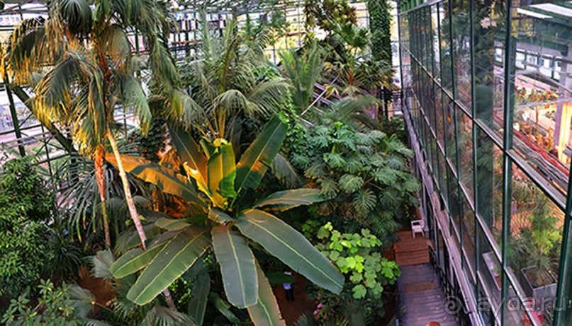 Друзья! Добро пожаловать в «Аптекарский огород»!