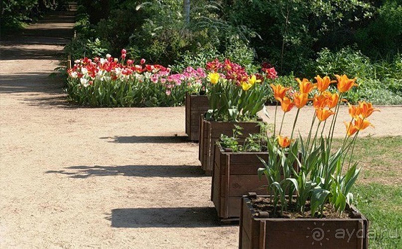 Друзья! Добро пожаловать в «Аптекарский огород»!