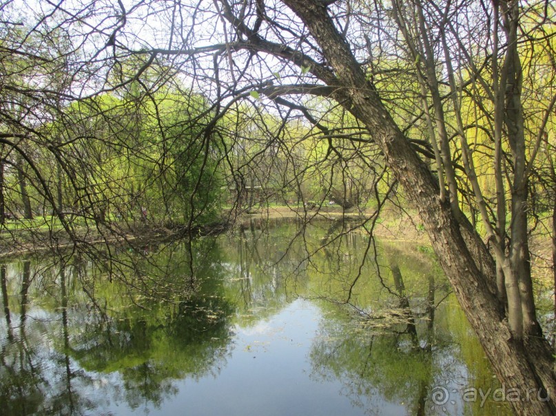 Друзья! Добро пожаловать в «Аптекарский огород»!