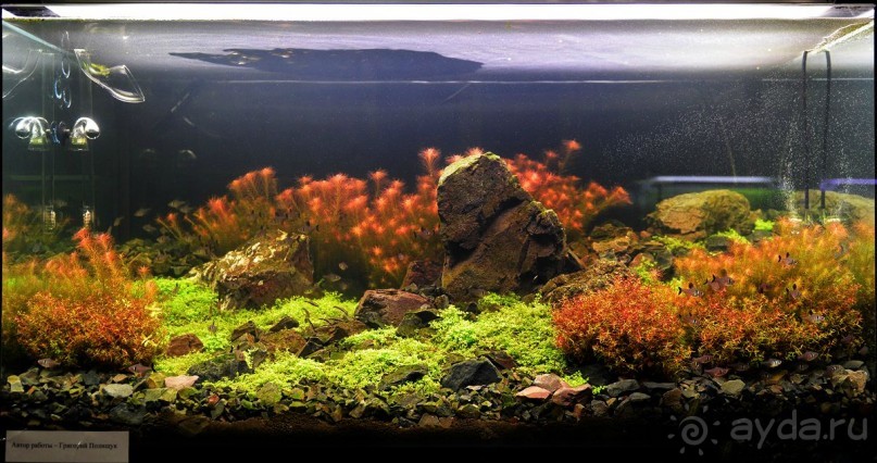 Друзья! Добро пожаловать в «Аптекарский огород»!