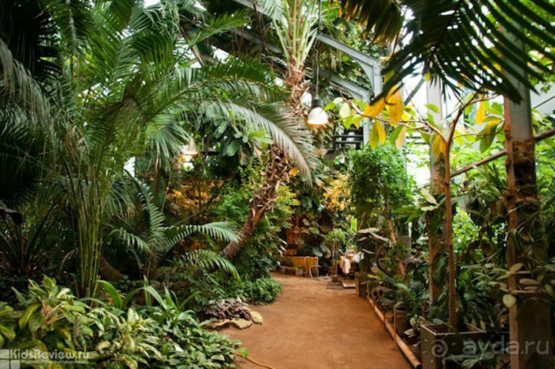 Друзья! Добро пожаловать в «Аптекарский огород»!