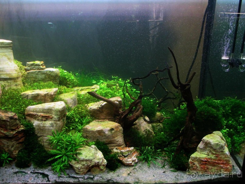 Друзья! Добро пожаловать в «Аптекарский огород»!