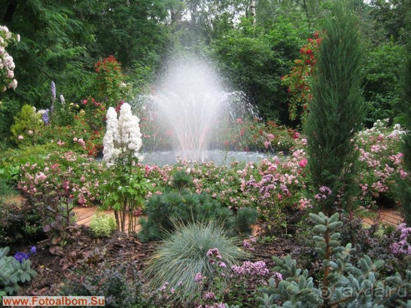 Друзья! Добро пожаловать в «Аптекарский огород»!