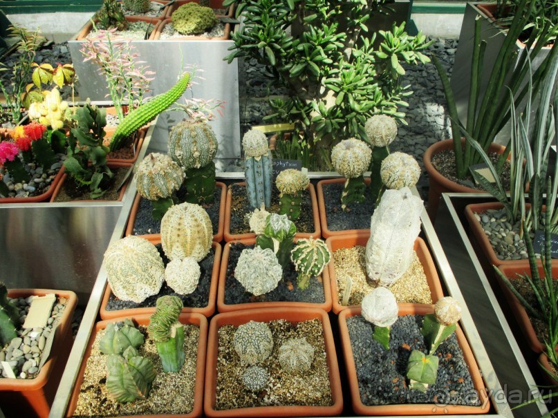 Друзья! Добро пожаловать в «Аптекарский огород»!