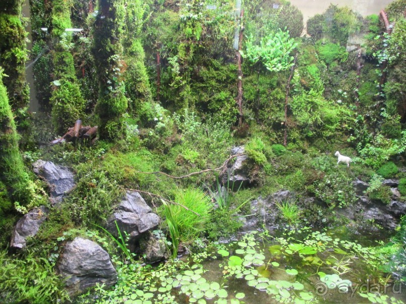 Друзья! Добро пожаловать в «Аптекарский огород»!