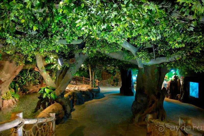 Бархатный ноябрь 2016. Сочи. Инструкция по применению. Часть 2.