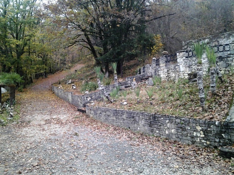 Бархатный ноябрь 2016. Сочи. Инструкция по применению. Часть 2.